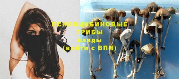 амф Володарск