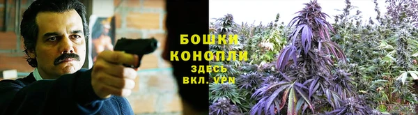 дурь Волосово