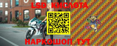 индика Ирбит