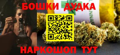 индика Ирбит