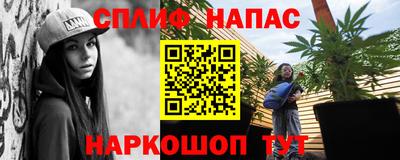 индика Ирбит