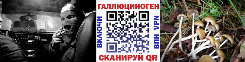 OMG зеркало  Можайск  Псилоцибиновые грибы прущие грибы  дарнет шоп 