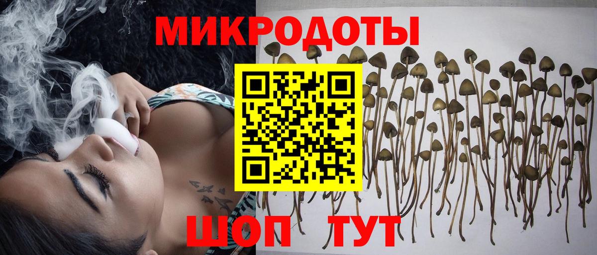 Галлюциногенные грибы Cubensis Можайск