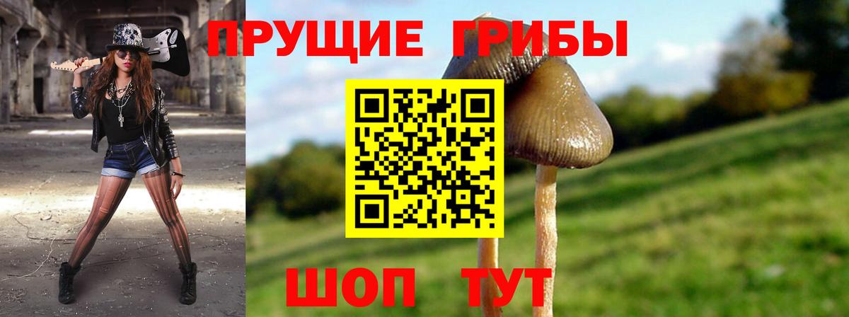 Галлюциногенные грибы прущие грибы  Галлюциногенные грибы MAGIC MUSHROOMS  Вход с VPN  Можайск 